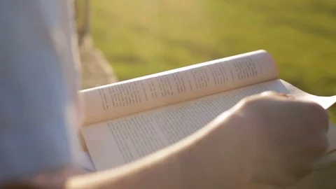 The boy reads an interesting book Stockbeeldmateriaal 78021395