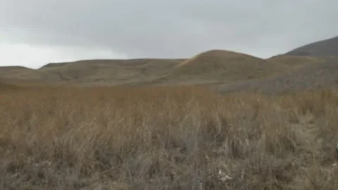 Boy in red cap walks on high dry grass among hills Video stock 131161502