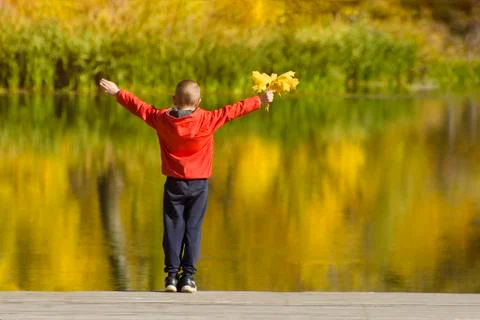 Boy in red jacket standing on the pier with leaves in his hand. Autumn sunny 스톡 사진