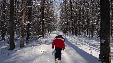 A boy in a red jacket walks through the winter forest. Stock Footage 147750590