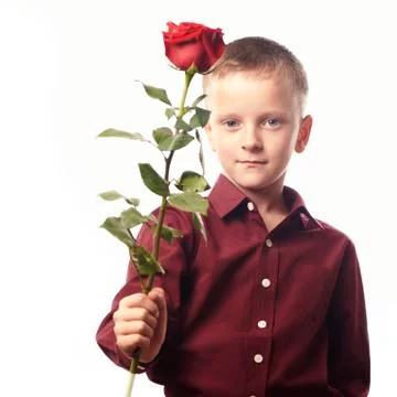 Boy with a red rose Stock Photos