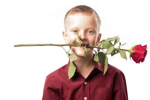Boy with a red rose Stock Photos