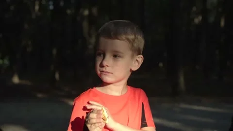 Boy in a red t-shirt eats cookies Video stock 139195428