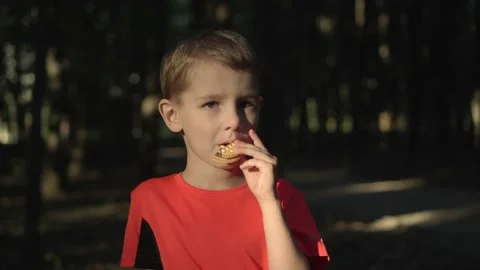 Boy in a red t-shirt eats cookies Stock Footage 139208786