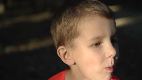 Boy in a red t-shirt eats cookies Stock Footage 139209070