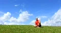 Boy in red t-shirt HD Footage