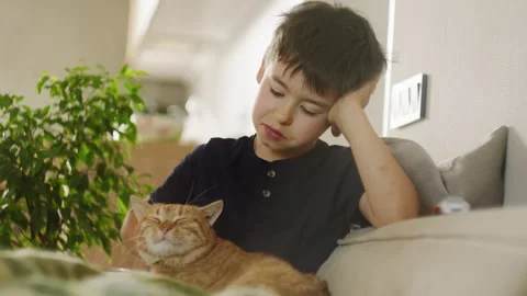A boy relaxes on the couch, petting a ginger cat, showing care and enjoying Stock Footage 277183479