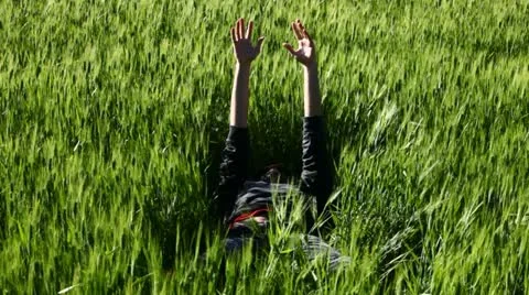 A boy relaxing in a field of wheat Stock Footage 11119915