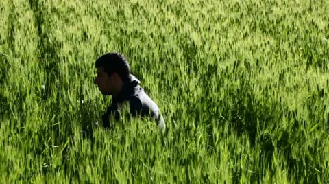 A boy relaxing in a field of wheat. Going down. Stock Footage 11119155