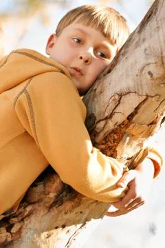 Boy resting on a tree branch Stock Photos