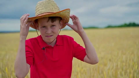 Boy resting on wheat field Stock Footage 135602923