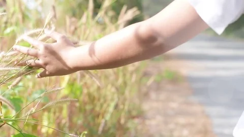 Boy ride walking in park Stock Footage 73561010