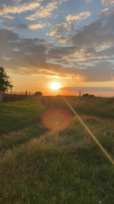 A boy rides off on a bicycle into the sunset Stock Footage 296998996