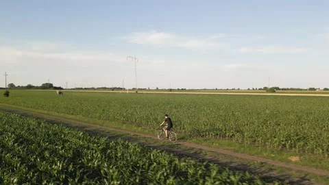A boy rides a bicycle through the crops 動画素材 287110032