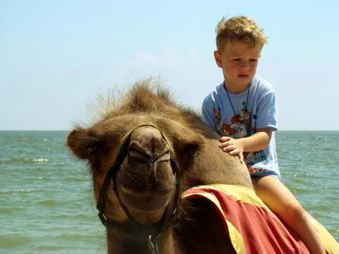 Boy riding a camel 스톡 사진