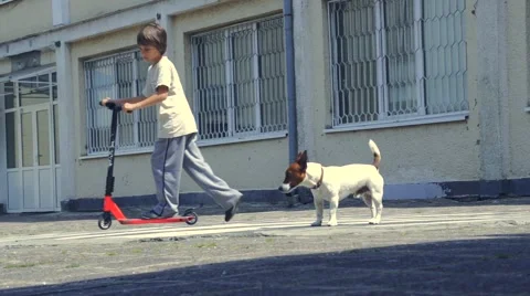 Boy riding scooter Stock Footage 63405405