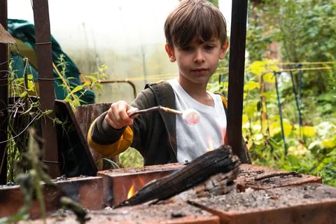 Boy roasting marshmallows on the fire Stock Photos
