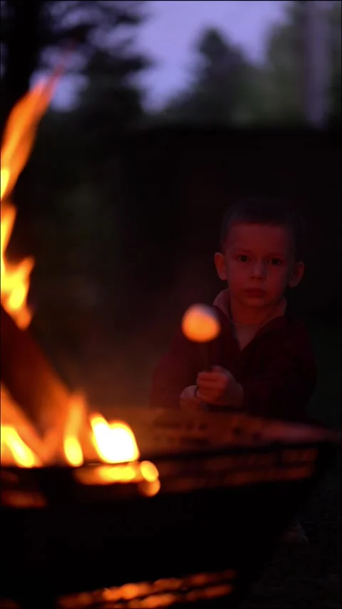 Boy roasts marshmallow over campfire at night. Video stock 342179447