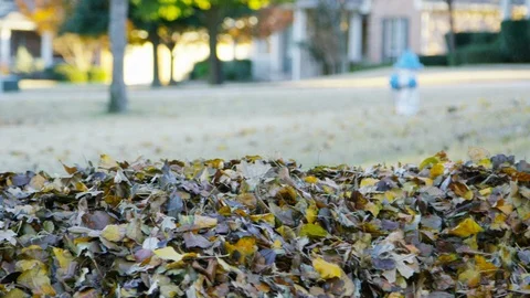 A boy rolls across a huge leaf pile in slow motion as a toddler watches intently Stock-Footage 93893202