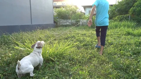 Boy run with dog in the park Stockbeeldmateriaal 89136376