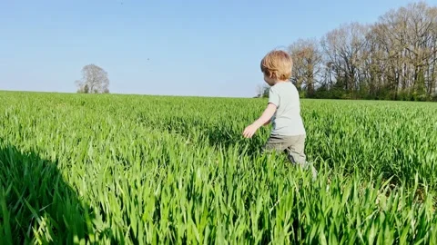 Boy run in the fresh spring field view from side Video stock 217445056