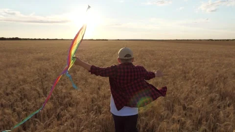 Boy run with kite wheat field, child enjoying summer outdoor, sunset countryside Stock Footage 316709710