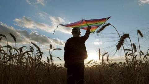 Boy run through wheat field kite, child playing outdoor nature, sunset Stock Footage 314684856