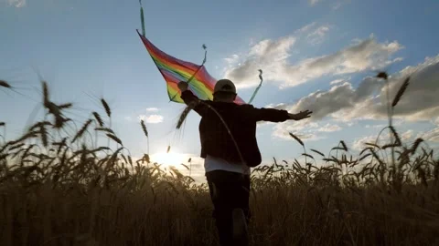 Boy run through wheat field colorful kite, sunset sky clouds, freedom happiness Stock Footage 315220792