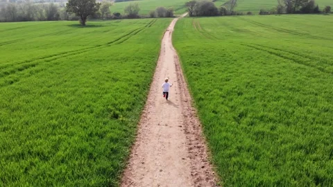 Boy running along path in field. Stock Footage 253182422
