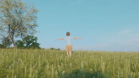 Boy running with arms out, back view, symbol of wild childhood joy Stock Footage 311574522