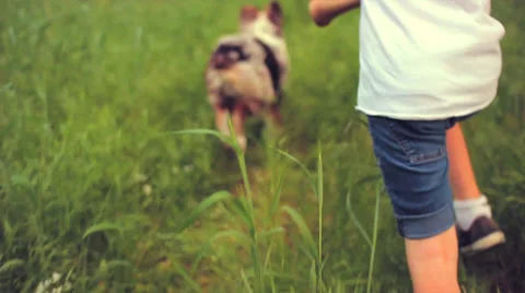 Boy Running With Dog 2 Видео 35837220