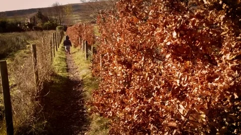 Boy Running Down Path Stock Footage 82250093