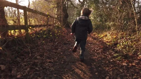 Boy running down wooded path Stock Footage 146546761