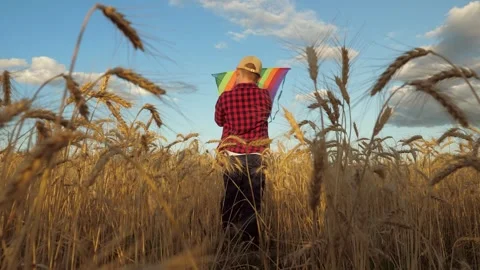 Boy running in the field, child playing with a kite, happy boy enjoying nature Stock Footage 313906688