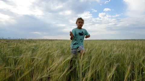 Boy running in the field Stock Footage 27081832