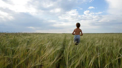 Boy running in the field Video stock 27081891