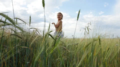Boy running in the field Stock Footage 27082047