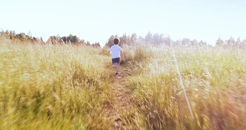 Boy running in the field Stock Footage 110267490