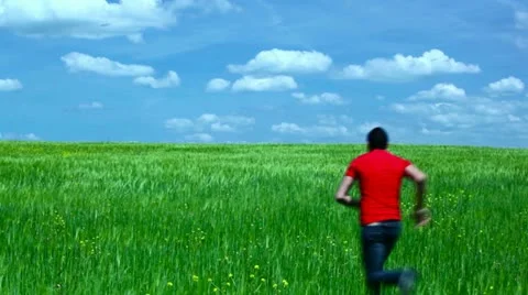 Boy running in a field of green wheat Stock Footage 11617447