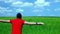 Boy running in a field of green wheat HD Footage