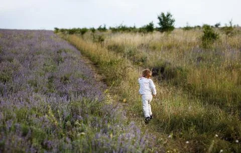 Boy running on the field Stock Photos