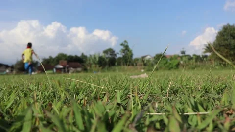 Boy running on grass field. Stock Footage 235754592