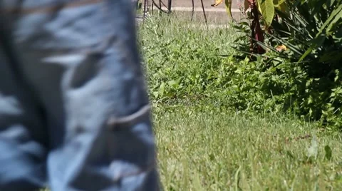Boy running in grass Video stock 8563007