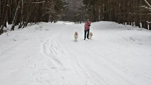 Boy running with his dogs on a winter forest road - slow motion Stock Footage 101315228