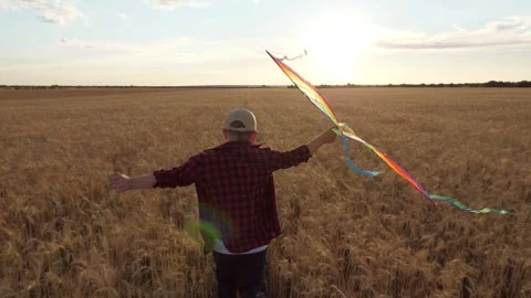 Boy running kite, child playing outdoor, kid running field, happy boy enjoying Stock Footage 311484945