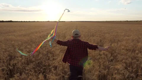Boy running with a kite, child playing in wheat field, sunset sky with clouds Stock Footage 316179071