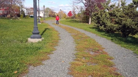 Boy running in the park Stock Footage 70029568