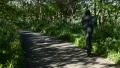 A boy running in a path (back view) HD Footage