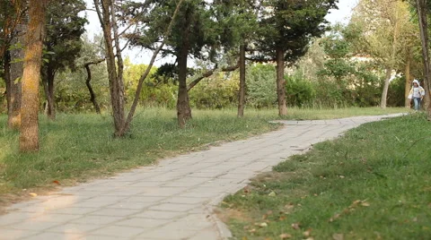 A boy is running on pathway Stock Footage 68972047