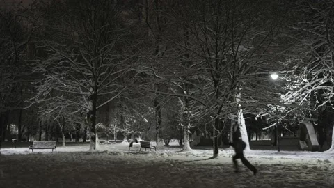Boy running in the snow park Video stock 228752388
